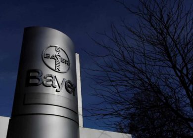 Аграрии нашли риски в «авторских правах» Bayer на сорта рапса и сои