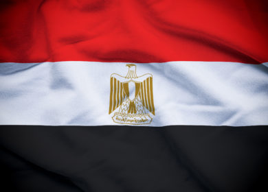 Египет объявил тендер по закупке растительного масла