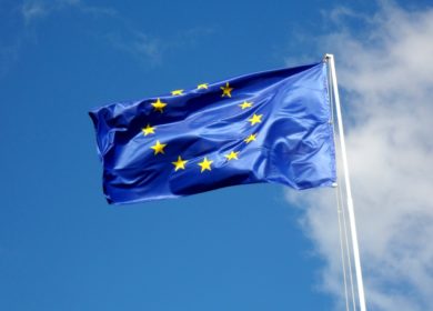 Евросоюз закупил более 13 млн тонн масличных и продуктов их переработки с 1 июля т.г.