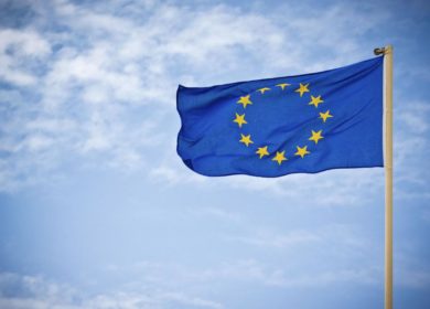 Евросоюз закупил более 6,5 млн тонн масличных и продуктов их переработки в новом сезоне