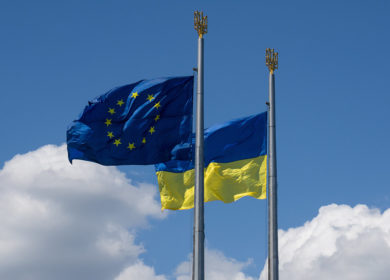 Украине как одному из крупнейших производителей соевых бобов придется адаптироваться к новой политике ЕС на аграрном рынке – эксперт
