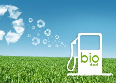 Бразилия снизила долю биодизеля в топливных смесях из-за инфляции