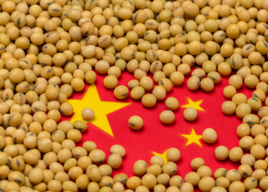 Китай нарастит импорт сои и расширит площади сева под масличной в 2022/23 МГ, – Минсельхоз