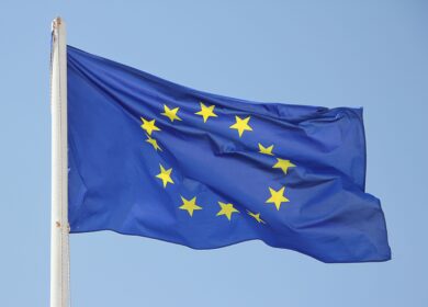 Страны Евросоюза экспортировали более 4,2 млн тонн масличных и продуктов переработки с начала сезона