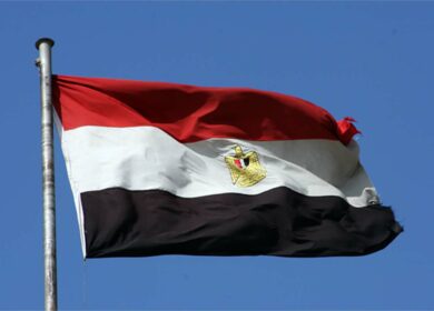 Египет объявил тендер на закупку растительных масел