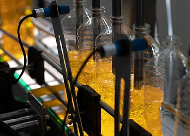 На Камчатке увеличат производство подсолнечного масла