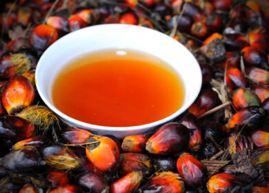 Почему в мире не хватает пальмового масла? И как его дефицит повлияет на потребителей