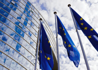 Евросоюз закупил более 34 млн тонн масличных и продуктов их переработки с 1 июля