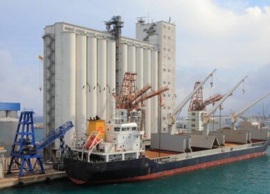 Активисты Greenpeace заблокировали проход корабля с соей из Бразилии