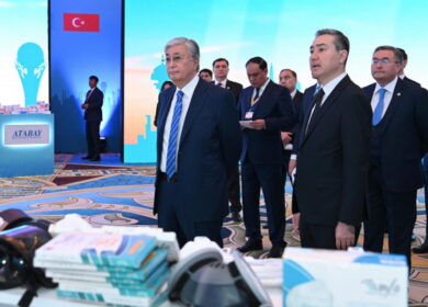Токаев предложил Турции открыть переработку льна в Казахстане