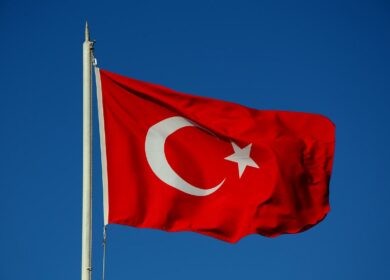 Турция возобновляет объемы торговли подсолнечным маслом