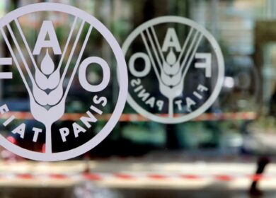ФАО ожидает роста индекса цен на продовольствие