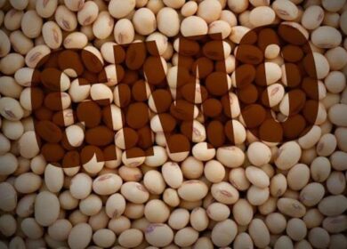 Минсельхоз предложил продлить на 2023 г. отказ от регистрации сои и шрота с ГМО
