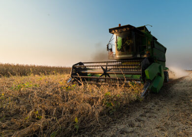Оценки урожая сои в Аргентине упали до 25 млн тонн