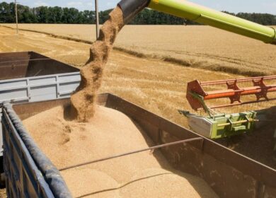 Зерновой союз призвал заменить квотой плавающую пошлину на экспорт зерна
