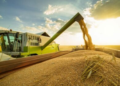 Производители зерна предлагают не вводить дисконт на экспортную пошлину на бирже