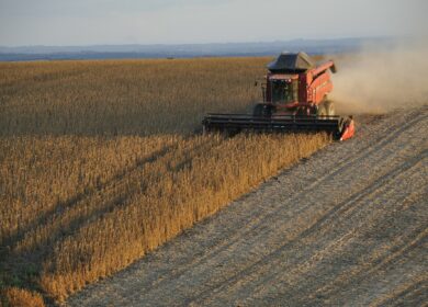 На Украине собрано 60% урожая сельхозкультур