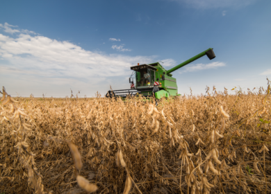В Аргентине сохраняются низкие темпы продаж кукурузы и сои