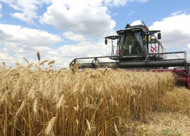 Экспортная пошлина на пшеницу из РФ с 17 мая снизится