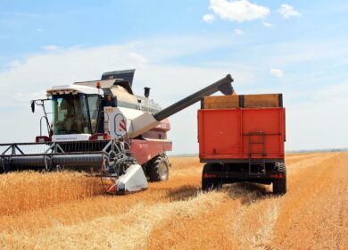 В России с 25 января снижают пошлину на экспорт пшеницы