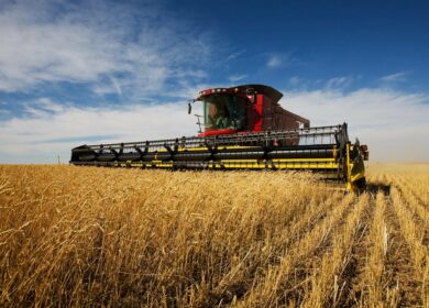 ОЗК: пошлины на экспорт зерна должны компенсировать рост себестоимости для аграриев