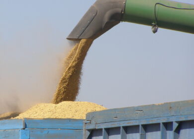 В Союзе экспортеров зерна считают восточные рынки стратегически значимыми для АПК РФ