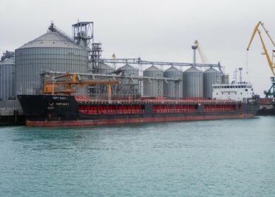 Резидент портовой ОЭЗ под Астраханью весной запустит перевалку зерна через порт Оля