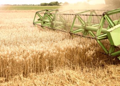 Экспортные пошлины на зерно снизятся с 4 мая