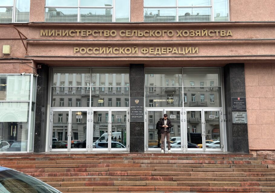 минсель