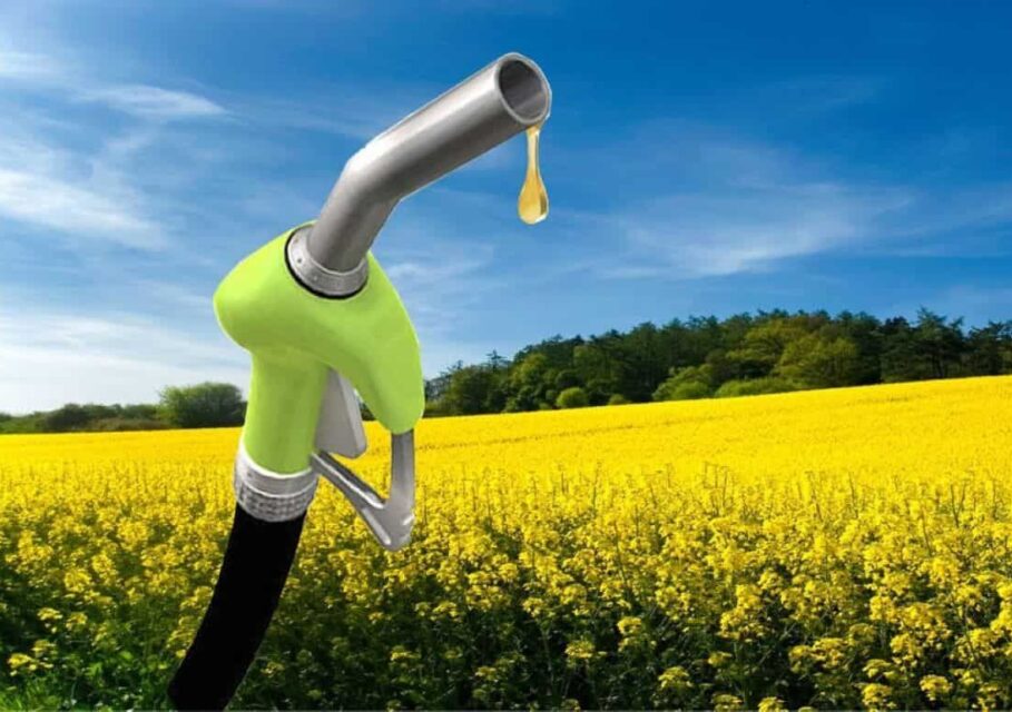 растит