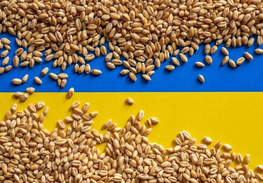 авг украина эксп