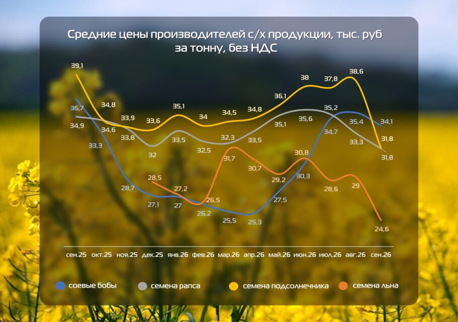 цены на масличные