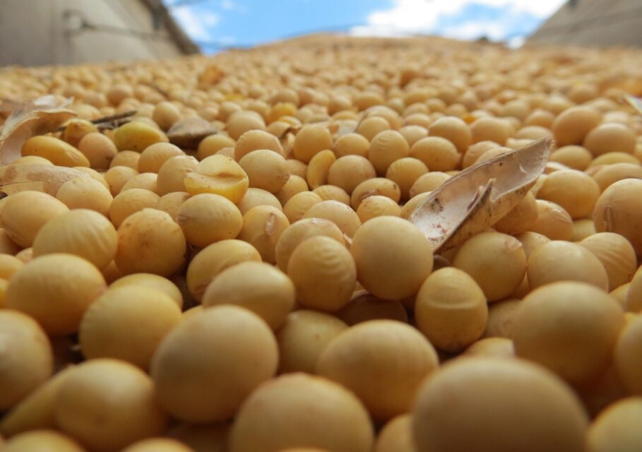 agro-matik.ru
