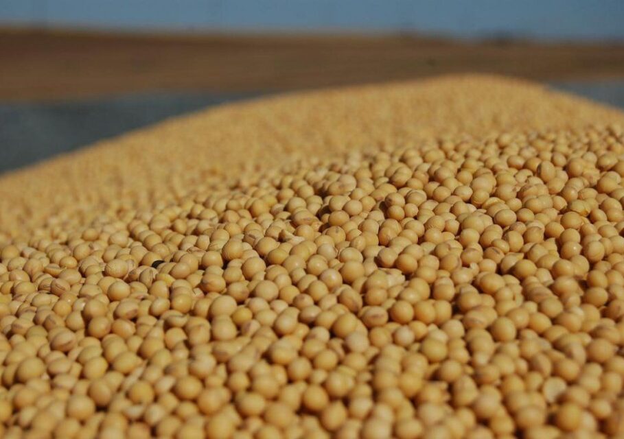 agro-matik.ru