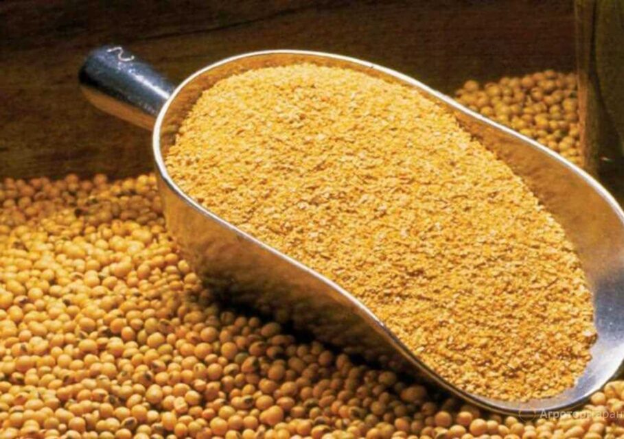 sheppardgrain.com