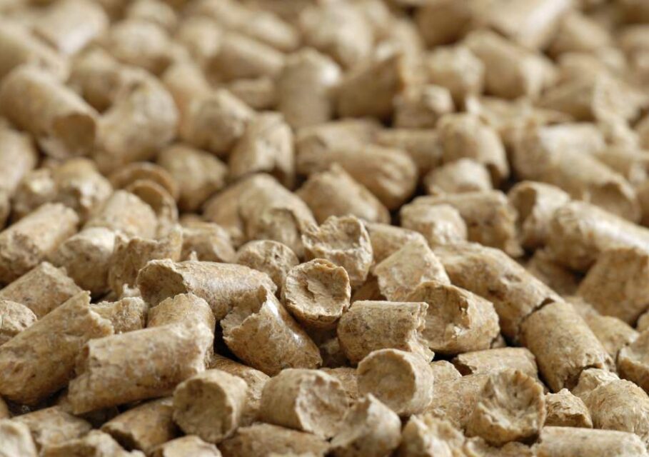 agrobiocluster.ru