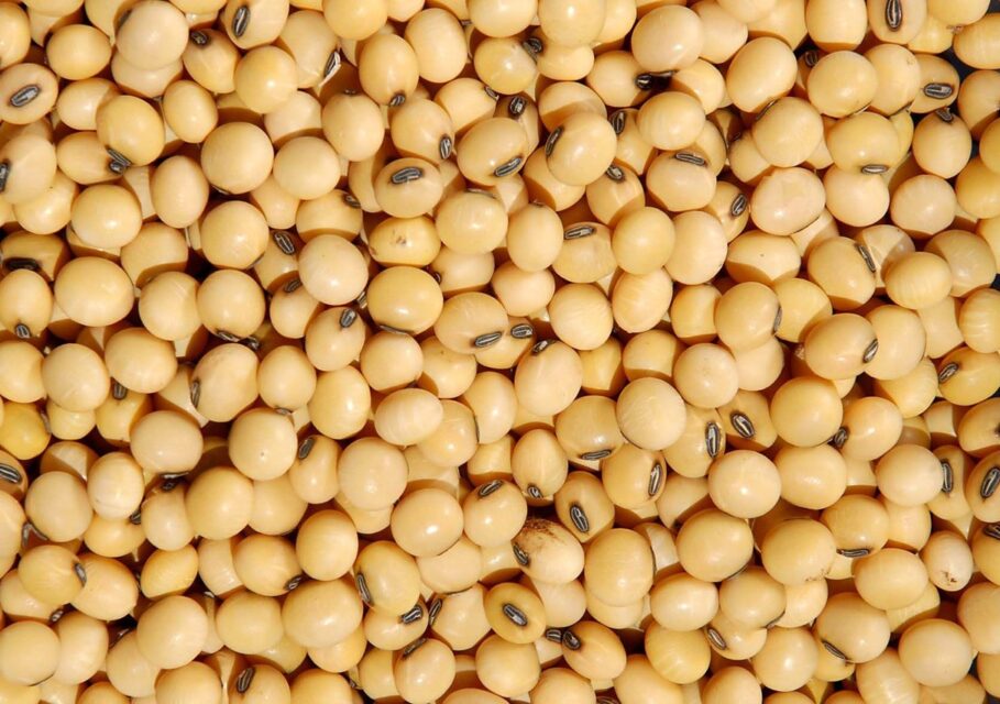 france-export-fv.com