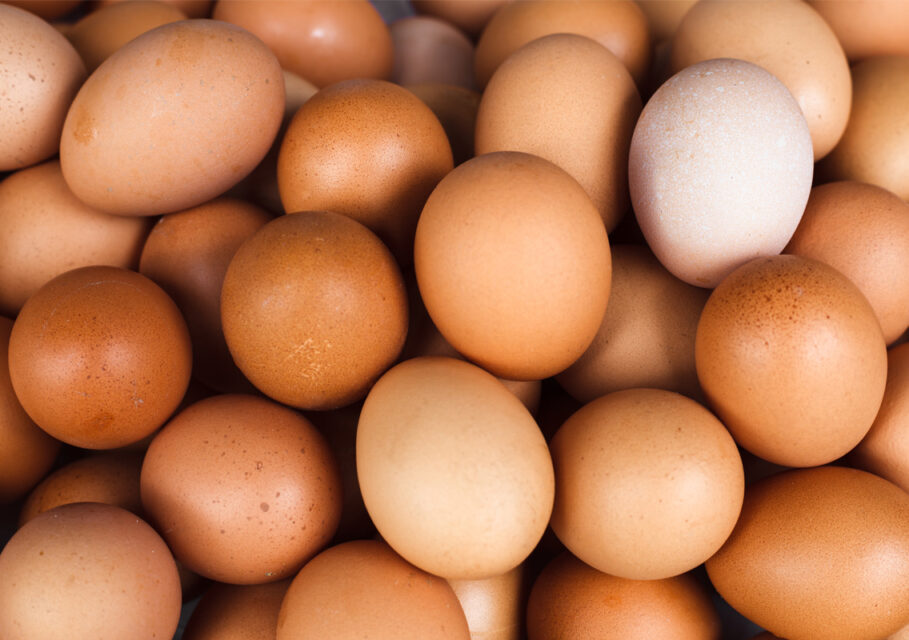 foodbusinessnews.net