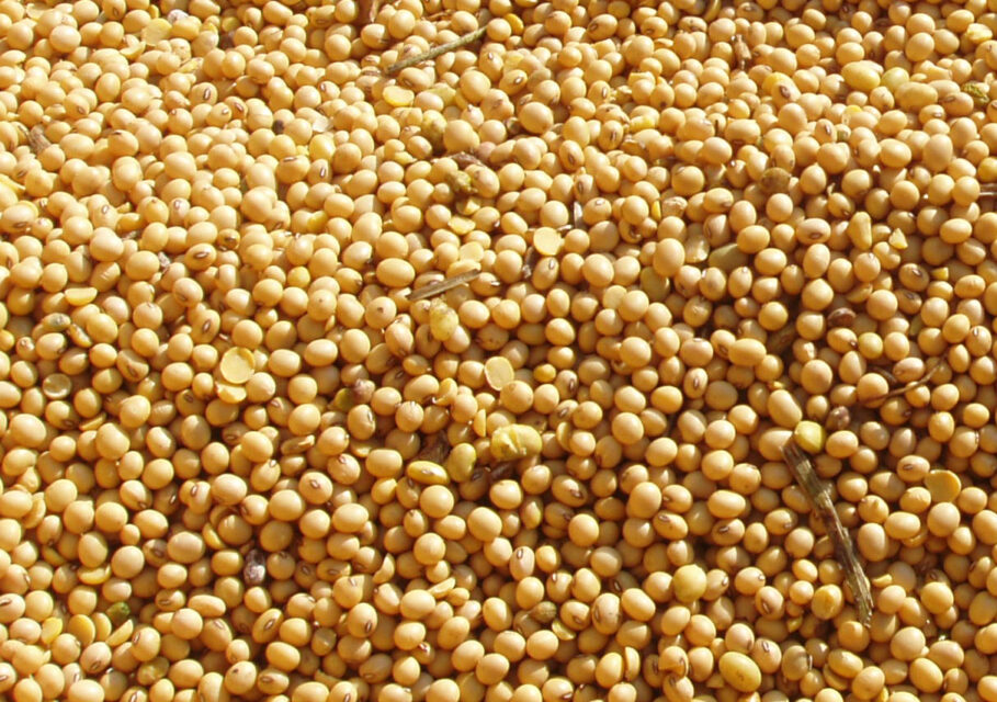 agri-news.ru