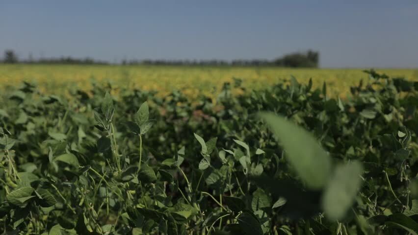 agro-matik.ru