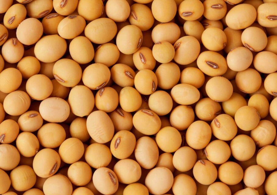 jasminealimentos.com
