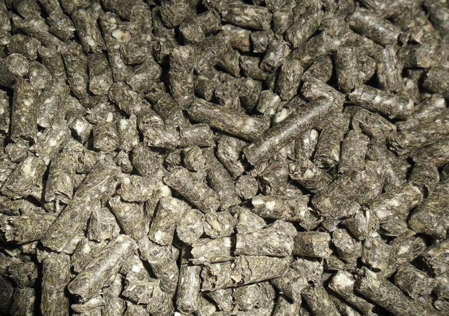 agrozernoholding.com