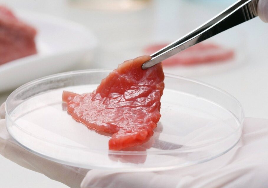 totalhub.ru
