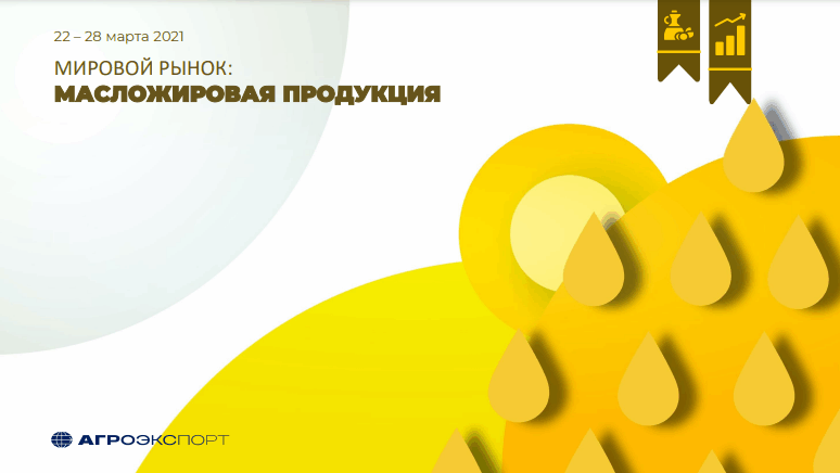 aemcx.ru