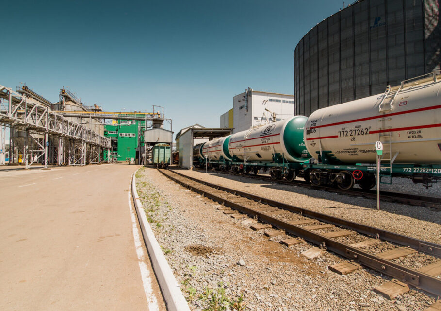 barnaul.org