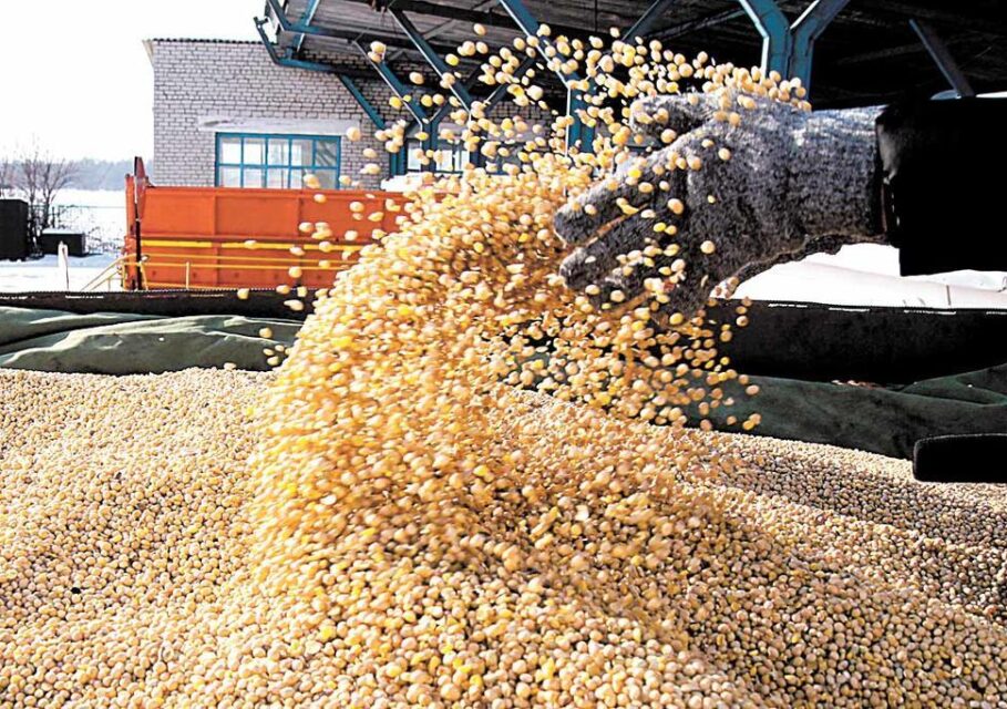 agrovesti.net