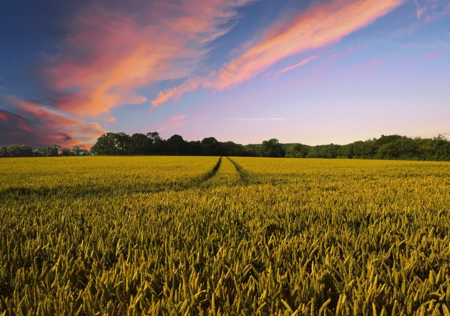 pixabay.com