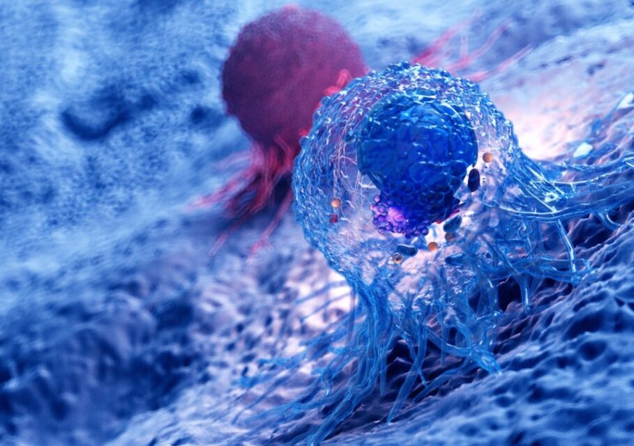 plant-based-news-cancer-cells