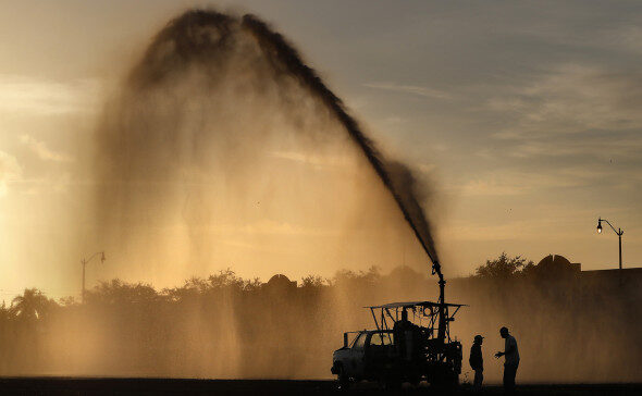 Фото: Robert F. Bukaty / AP