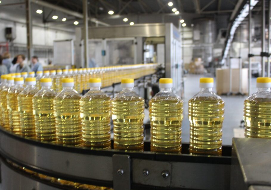 mcx.gov.ru